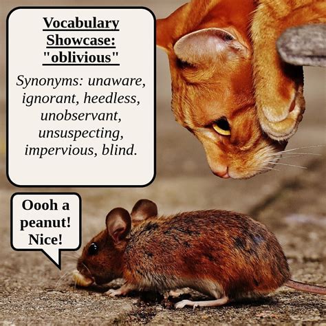 mutual synonyms. . Synonyms for oblivious